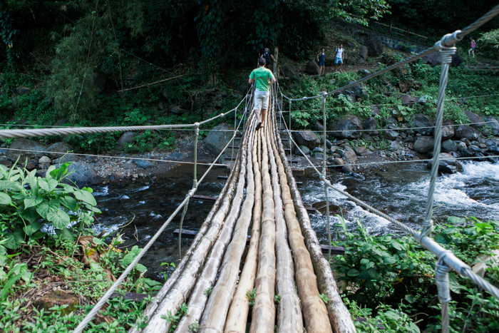 Saint-Vincent Rain Forest Eklaprod